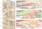 American Cuisine Accounts Payable Designer Business Checks