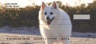 American Eskimo Dog Personal Checks - Eskimo Dog Checks