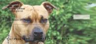 American Staffordshire Terrier Personal Checks - Staffordshire Checks