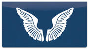 Angel Wings Checkbook Cover