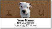 Animal Sand Scribbles Address Labels