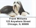 Bearded Collie Labels - Bearded Collies Address Labels