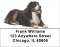 Bernese Labels - Bernese Mountain Dog Address Labels