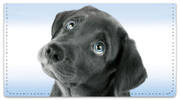 Black Lab Pup Checkbook Covers