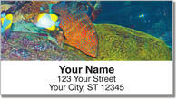 Blue Dot Grouper Address Labels