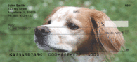 Brittany Spaniel Checks - Brittany Spaniel Personal Checks