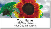 Bulone Bloom Address Labels