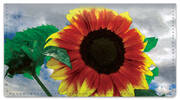 Bulone Bloom Checkbook Covers