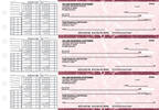 Burgundy Marble Payroll Business Checks