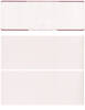 Burgundy Safety Blank Stock High Security Top Voucher Check