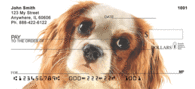 Cavalier King Charles Spaniel Checks