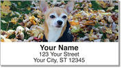 Chihuahua Address Labels