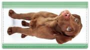 Chocolate Lab Pup Checkbook Covers