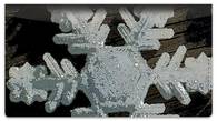 Christmas Snowflake Checkbook Cover