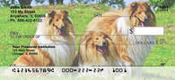 Collies Come home Personal Checks