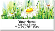 Daisy Field Address Labels