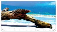 Driftwood Checkbook Cover