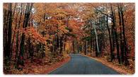 Fall Drive Checkbook Cover