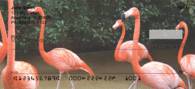 Flamingo Sampler Personal Checks - Flamingos Checks