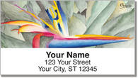 Floral Series 6 Address Labels