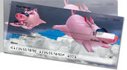 Flying Pig Side Tear Checks