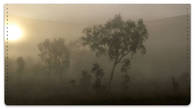 Foggy Day Checkbook Cover