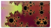 Fractal Checkbook Cover