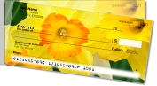 Golden Daffodil Side Tear Checks