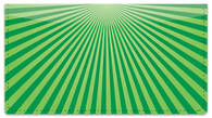 Green Starburst Checkbook Cover