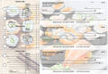 Japanese Cuisine Accounts Payable Designer Business Checks