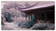 Japanese Garden Checkbook Cover