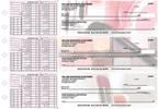 Makeup Payroll Designer Business Checks 