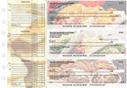 Mexican Cuisine Accounts Payable Designer Business Checks