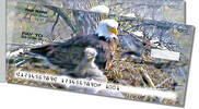 Nesting Eagle Side Tear Checks