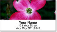 Pink Flower Address Labels