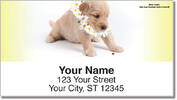 Pup in Bloom 2 Address Labels