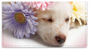 Pup in Bloom 3 Checkbook Covers