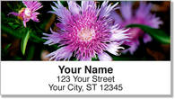 Purple Flower Address Labels