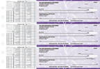 Purple Marble Payroll Business Checks