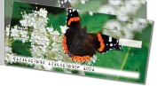 Red Admiral Butterfly Side Tear Checks