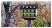 Rustic Birdhouse Checkbook Cover