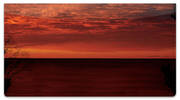 Scenic Sundown Checkbook Cover