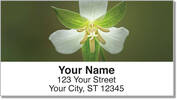 Trillium Address Labels