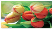 Tulip Checkbook Cover