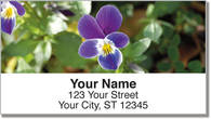 Vivid Violet Address Labels