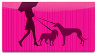 Walk the Dog Checkbook Cover