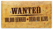 Wild West Checkbook Cover