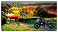 Winding Road Checkbook Cover