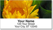 Yellow Flower Address Labels